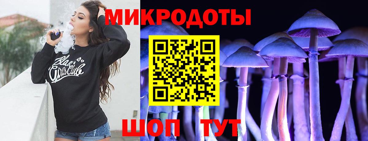 Псилоцибиновые грибы Psilocybine cubensis Среднеуральск